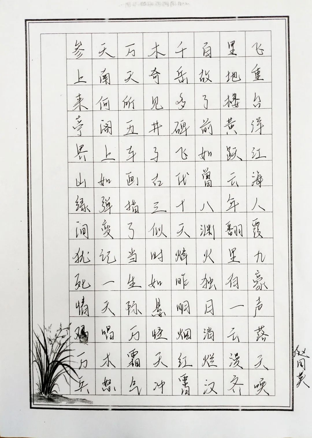 图片241.png