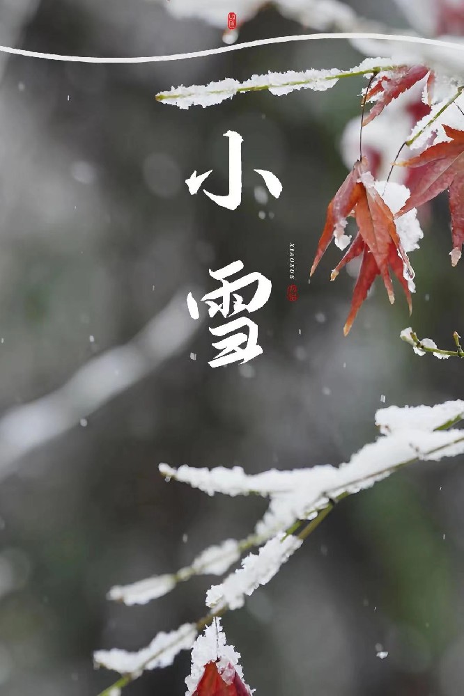 【小雪至，冬意浓 —— 探秘冬日里的温馨校园】
