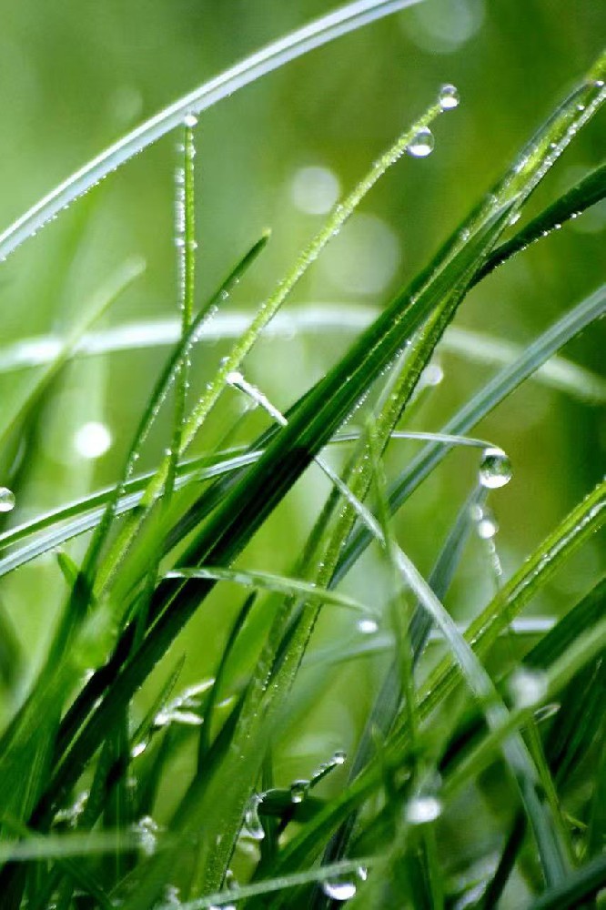 🌸雨水节气，润泽心田，共绘校园春色盛宴🌱