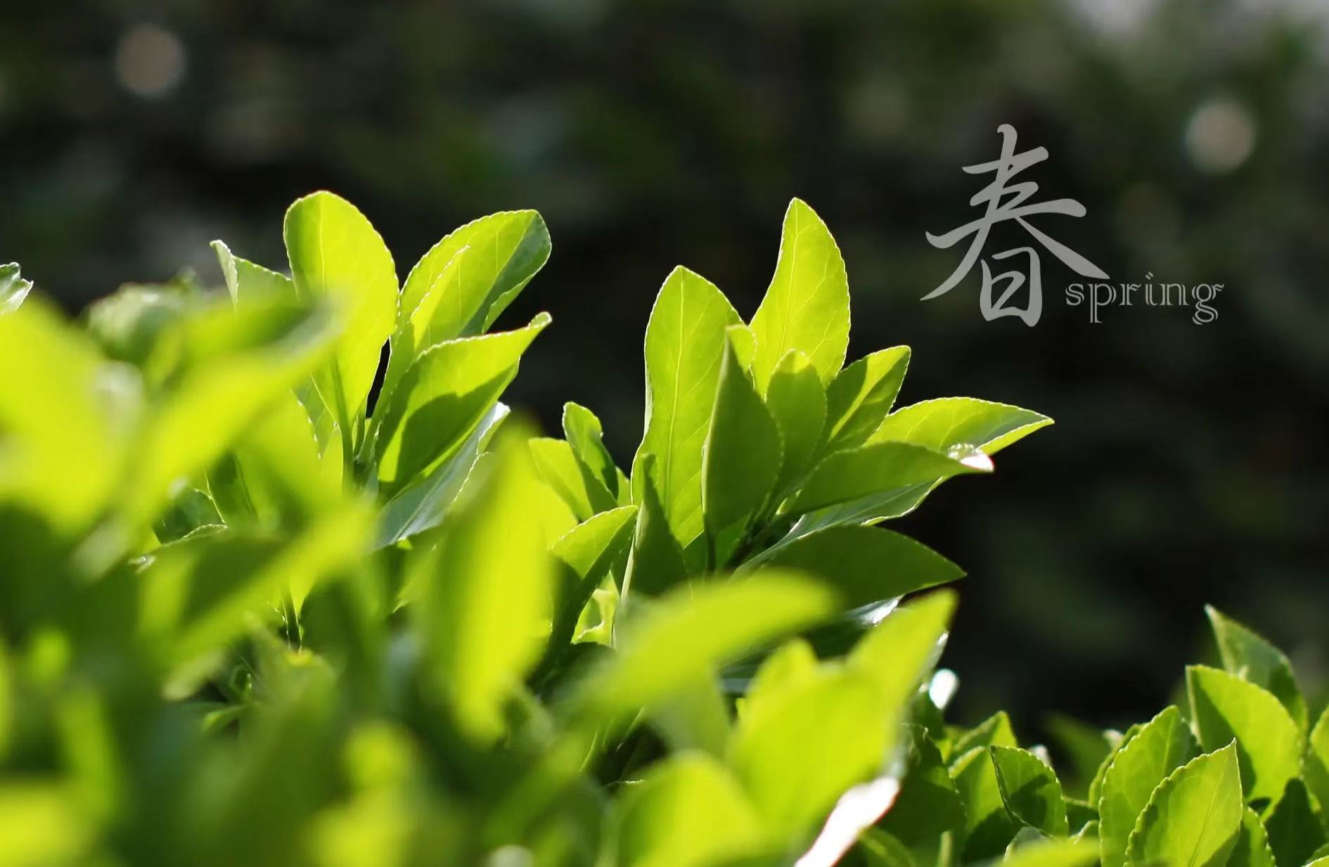 abbf60cee7765f516cde76daeaf0748.jpg