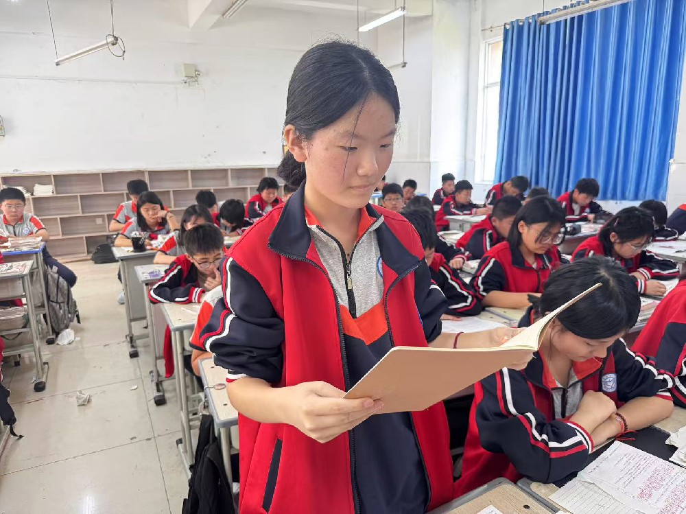 端午情长，粽香传韵——共赴一场传统文化的诗意之约