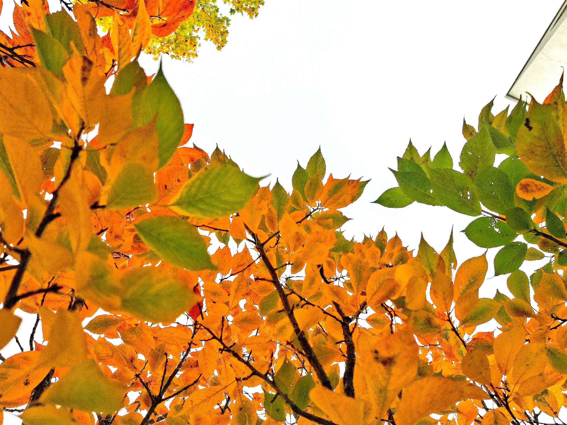 微信图片_20251103141344_51_11 (2).jpg