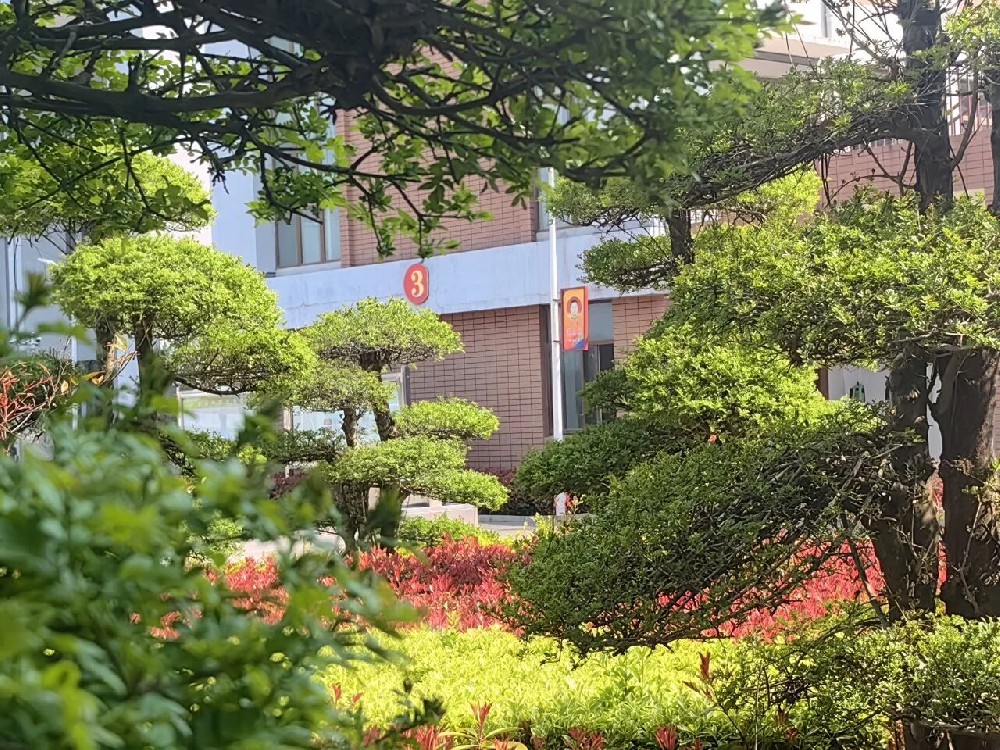 校园环境