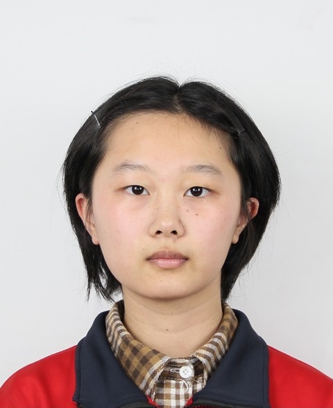 李    齐